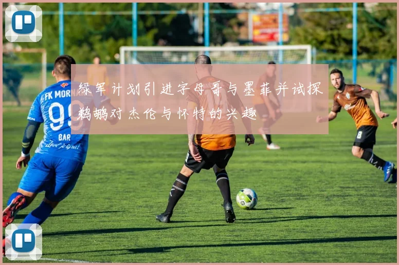 绿军计划引进字母哥与墨菲并试探鹈鹕对杰伦与怀特的兴趣